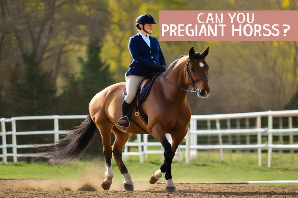 can-you-ride-a-pregnant-horse