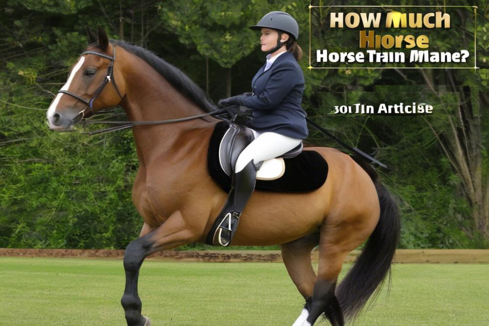 how-much-do-horse-trainers-make